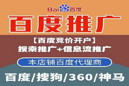 百度推广实战攻略：案例与策略